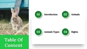 International Animal Rights Day Google Slides Templates