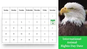International Animal Rights Day Google Slides Templates