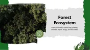Forest Ecosystem exploring interconnected trees, plants, animals, fungi, and energy flow in vibrant green slides.