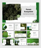 Forest Ecosystem exploring interconnected trees, plants, animals, fungi, and energy flow in vibrant green slides.
