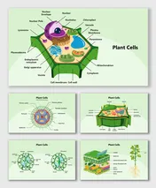 Plant Cells diagrams showing key components like chloroplast, nucleus, mitochondrion, and cell wall structures.