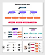 Team structure chart with CEO, managers, staff, colorful boxes, connectors, and Hierarchy.
