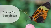 Butterfly PowerPoint Templates and Google Slides Themes