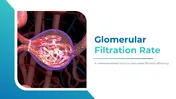 Get The Glomerular Filtration Rate PPT And Canva Template