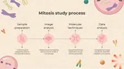 Biology Subject For Middle School Cell Cycle And Mitosis