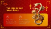 chinese new year year 1 planning