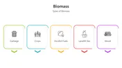 Information About Biomass PowerPoint And Google Slides
