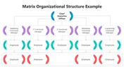 Structured Matrix Example Matrix Organizational Structure Example Presentation