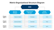 Matrix Organizational Structure Diagram Presentation
