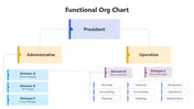 Informative Functional Org Chart PowerPoint Presentation