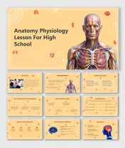 Anatomy Physiology Lesson For High School, showcasing human body systems, health tips, and vibrant designs.