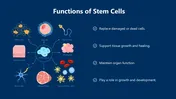 Biology Subject For High School Stem Cells PPT Presentation