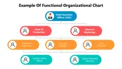 Example Of Functional Organizational Chart Presentation