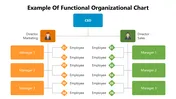 Example Of Functional Organizational Chart Presentation