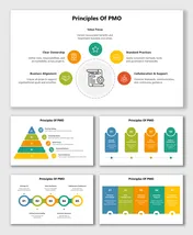 Principles Of PMO infographic with colorful icons showing value focus, standards, alignment, and support.