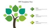 Try Now! Free Tree Diagram PowerPoint Presentation Slide