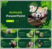 Slide deck with animal themed imagery, and illustrations, featuring classification and behavior with green backgrounds.