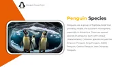 Get Now! Penguin PowerPoint And Google Slides Templates