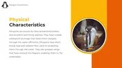 Get Now! Penguin PowerPoint And Google Slides Templates