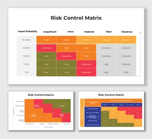 101173-risk-control-matrix-01