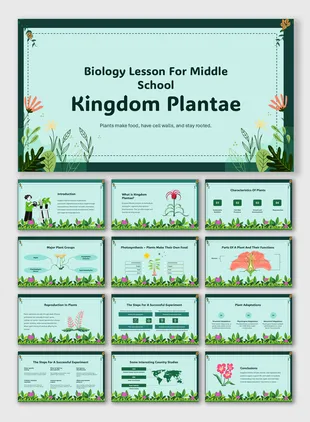 301297-biology-lesson-for-middle-school-kingdom-plantae-01