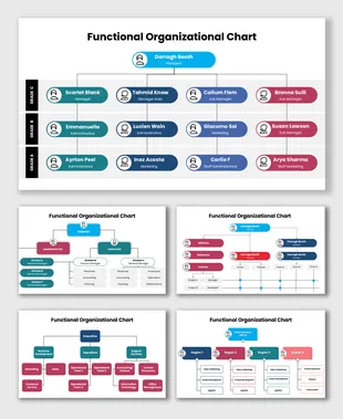 301615-functional-organizational-chart-01
