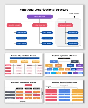 Functional Organizational Structure PPT, Canva, And Google Slides