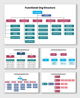 Functional Organizational Structure PPT, Canva, And Google Slides