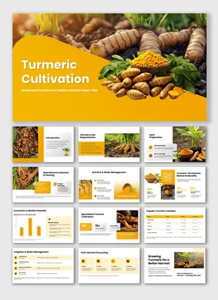 301938-turmeric-cultivation-01