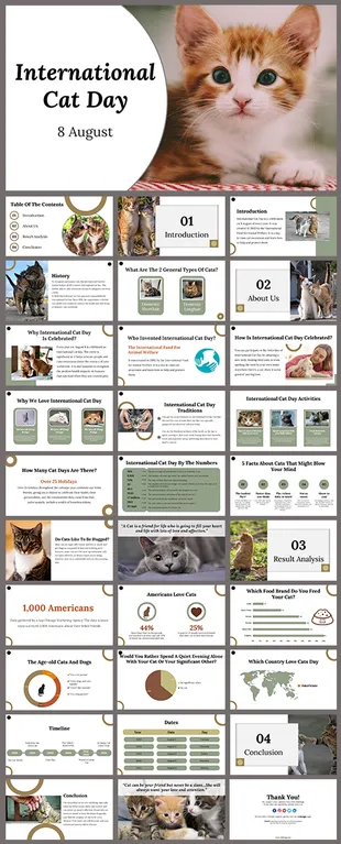 400069-international-cat-day-01