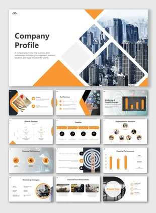 50573-company-profile-ppt-01