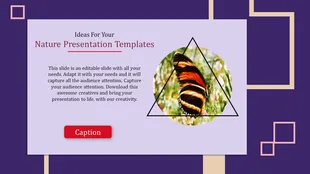 Deforestation PowerPoint and Google Slides Templates