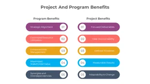 900151-program-vs-project-