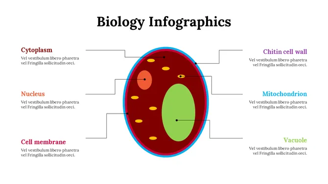 100299-biology-infographics-04