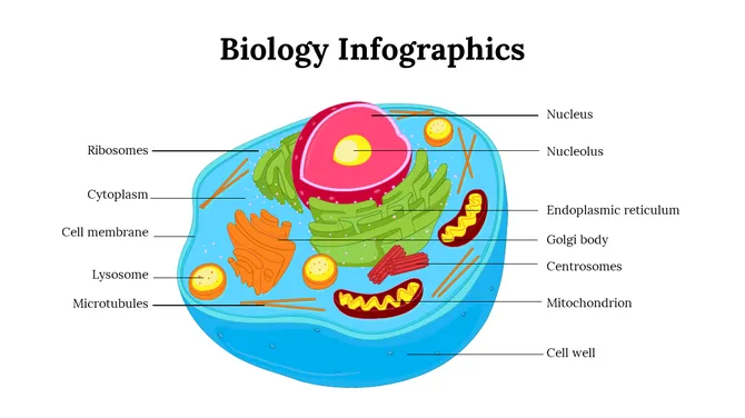 100299-biology-infographics-05