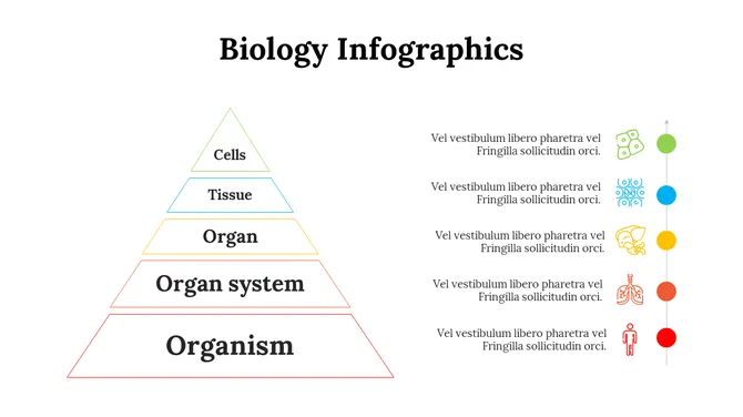 100299-biology-infographics-10