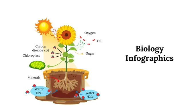 100299-biology-infographics-26