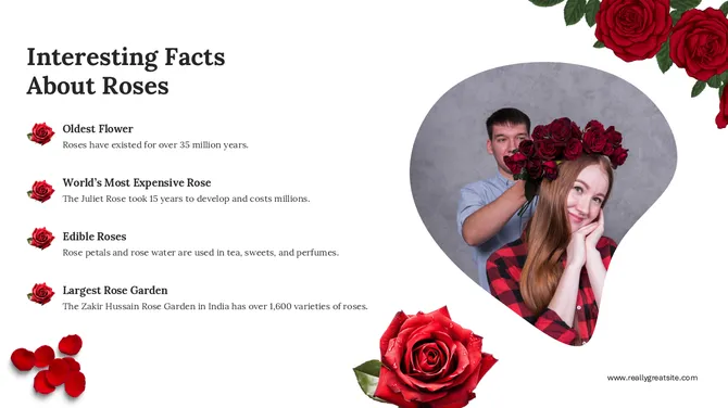 Celebrate Rose Day slide7