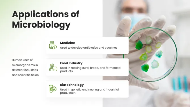 13884-microbiology-powerpoint-template-08