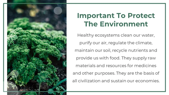 200023-world-environment-day-12
