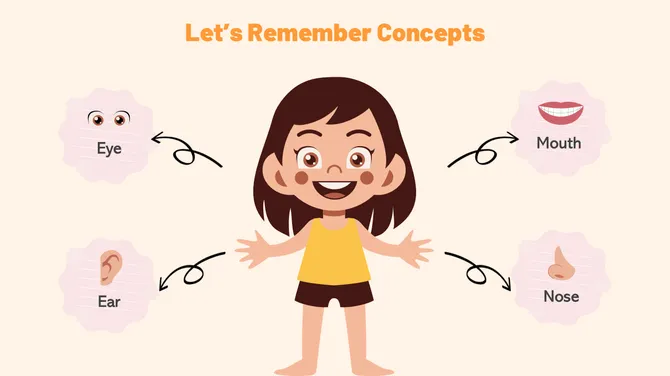 Biology Subject For Pre-K Parts Of The Body slide11