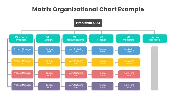 201214-matrix-organizational-chart-example-05-670