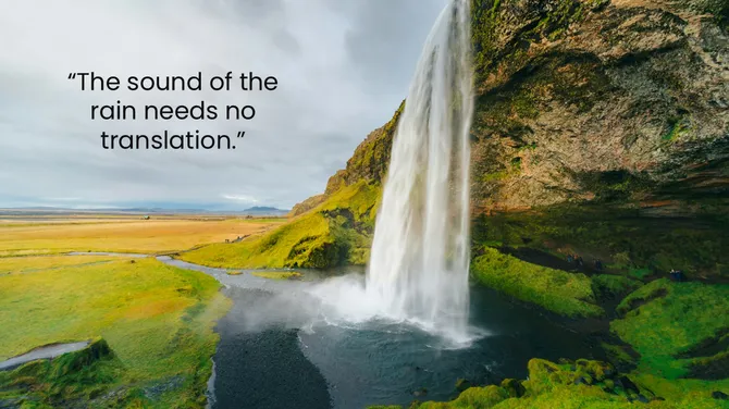 201230-background-nature-03-670