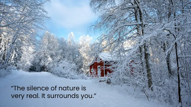 201230-background-nature-05-670