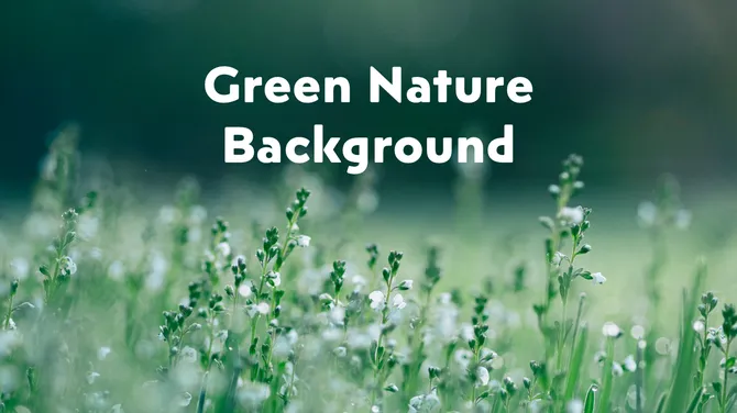 Green nature background with soft-focus grass and tiny white flowers creating a calm and refreshing outdoor scene.