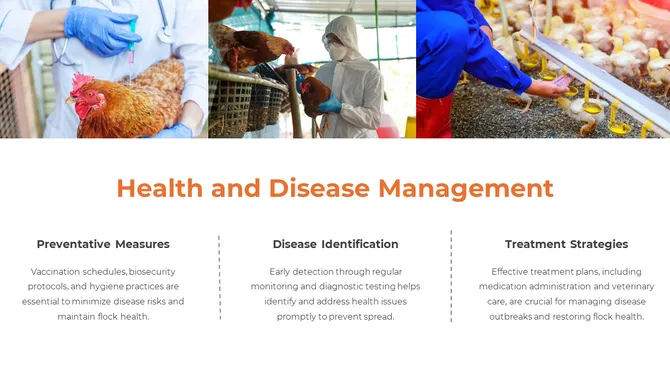 300857-poultry-farming-05-670