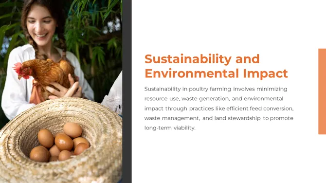 300857-poultry-farming-07-670