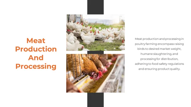 300857-poultry-farming-08-670