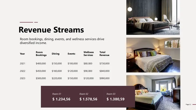 Hotel Finance Pitch Deck Presentation slide12