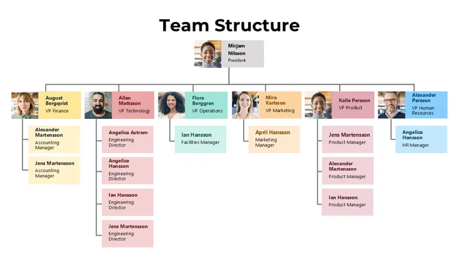 Team Structure PowerPoint